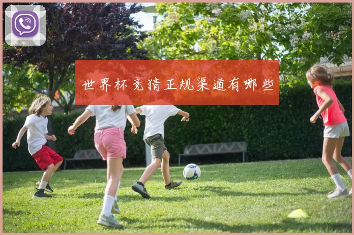 世界杯竞猜正规渠道有哪些