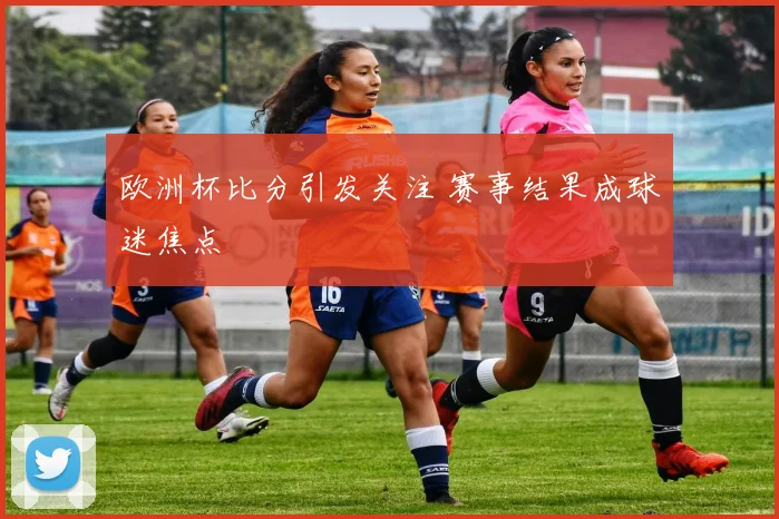 欧洲杯比分引发关注 赛事结果成球迷焦点