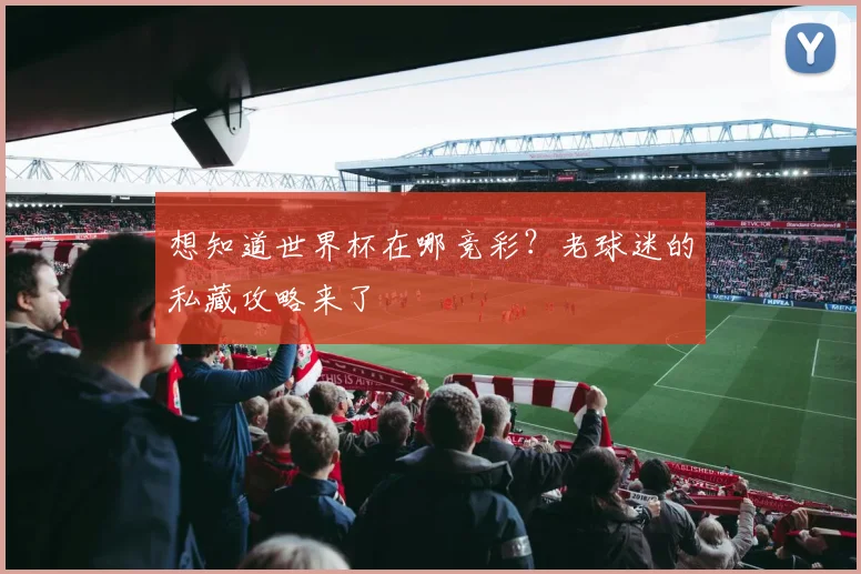 想知道世界杯在哪竞彩?老球迷的私藏攻略来了