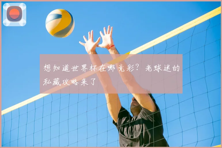 想知道世界杯在哪竞彩?老球迷的私藏攻略来了