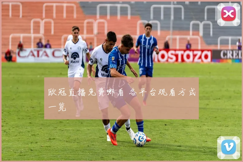 欧冠直播免费哪看 各平台观看方式一览