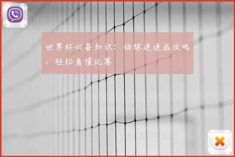 世界杯必备知识:伪球迷速成攻略,轻松看懂比赛