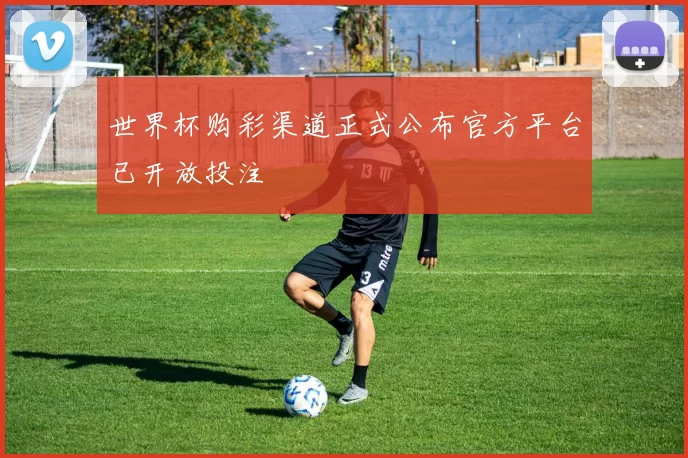 世界杯购彩渠道正式公布官方平台已开放投注