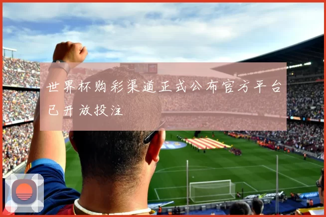 世界杯购彩渠道正式公布官方平台已开放投注